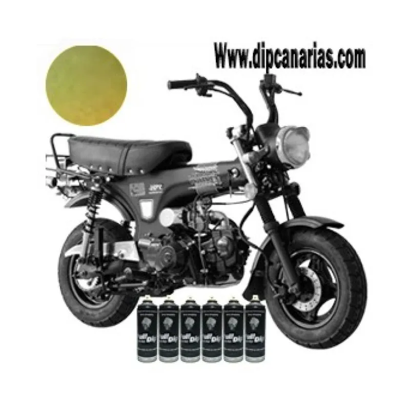 Kit moto pequeña Mix Camaleón