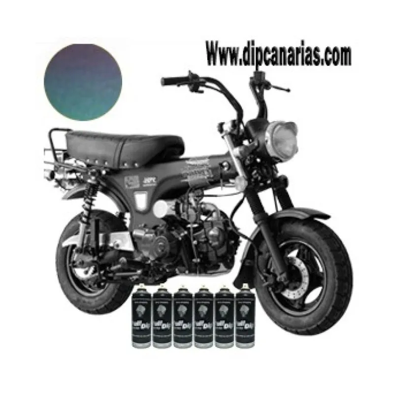 Kit moto pequeña Absolute Camaleón