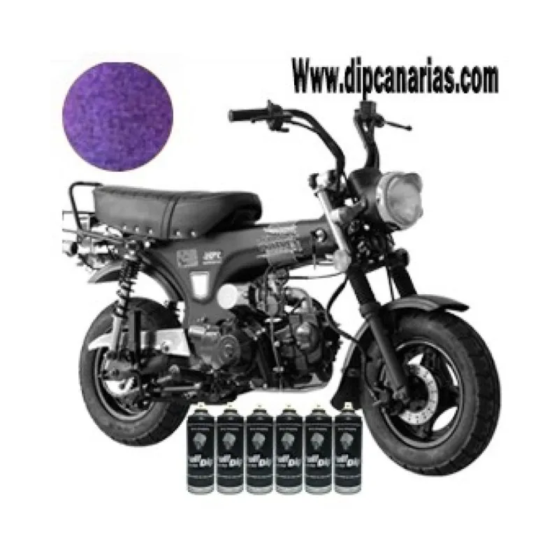 Kit moto pequeña Sweet Camaleón