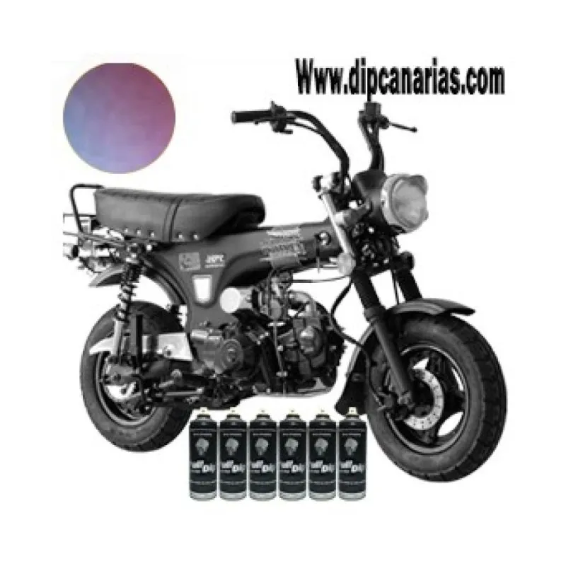 Kit moto pequeña Standard Camaleón