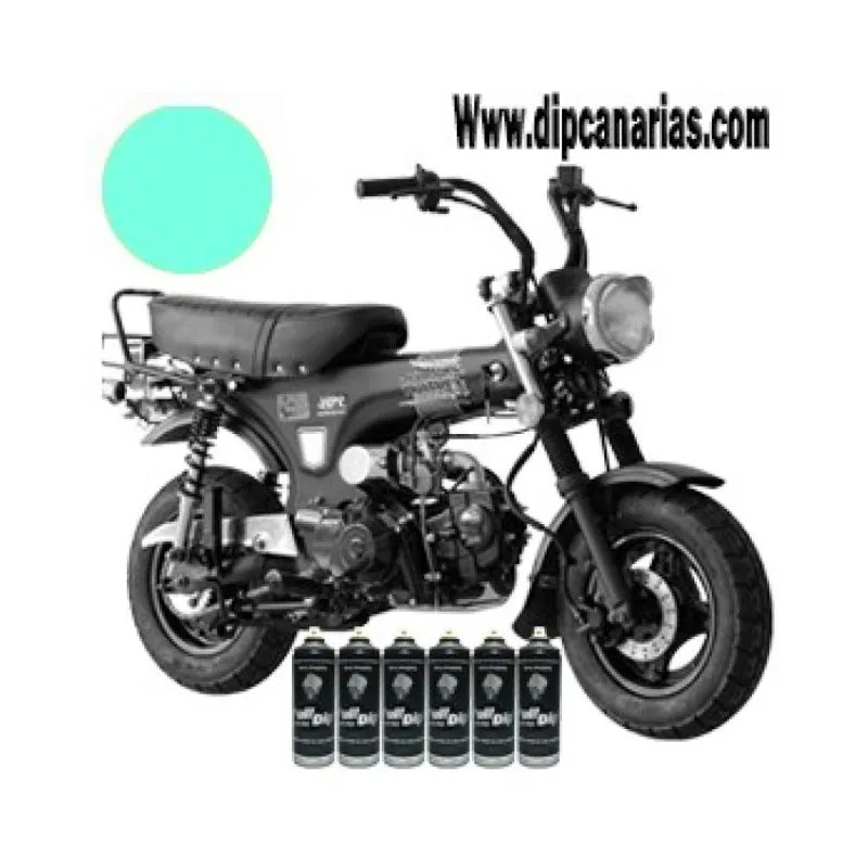 Kit moto pequeña Verde Paraíso Sólido