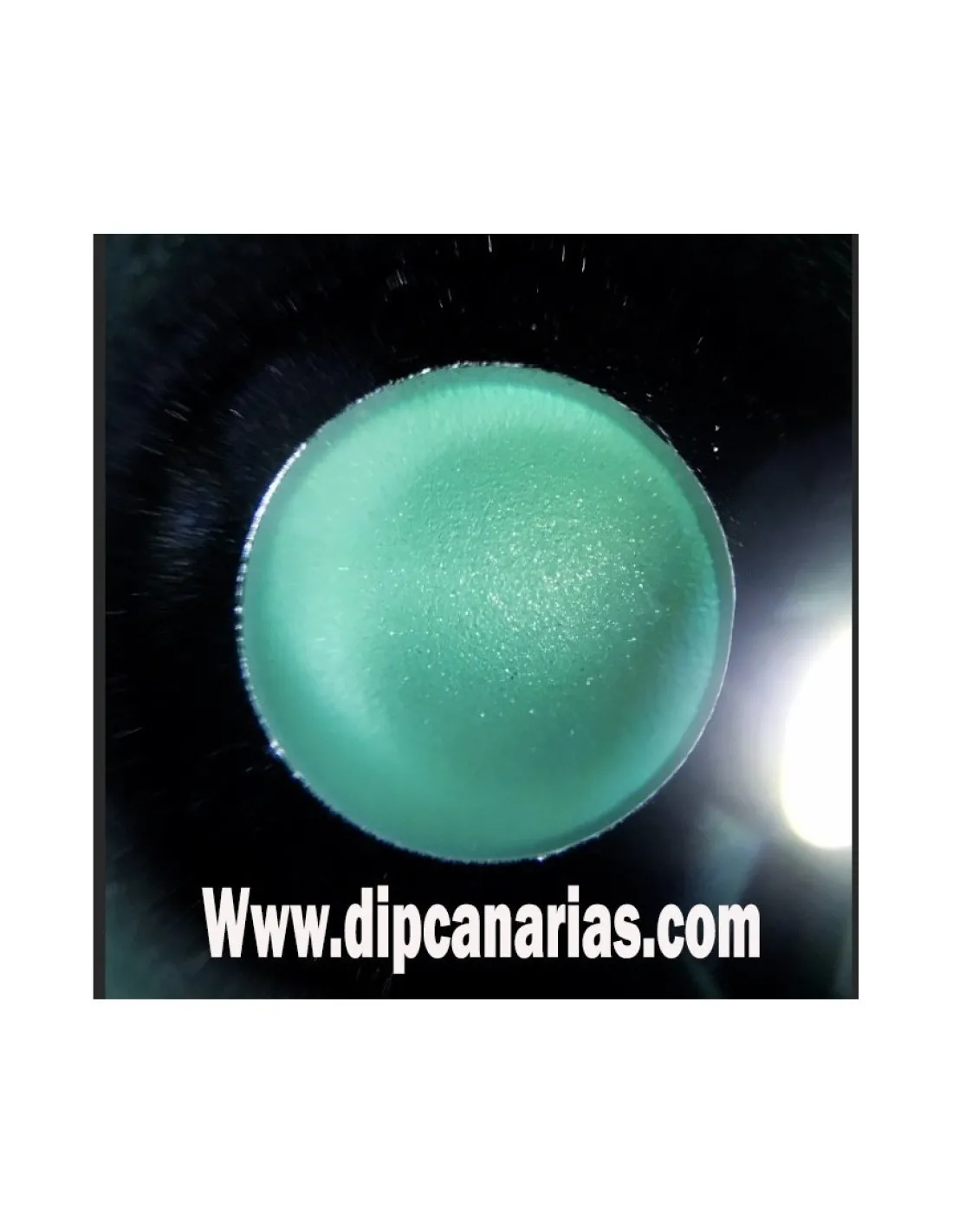 Kit llantas de 16 a 19" Verde Paraíso Metalizado