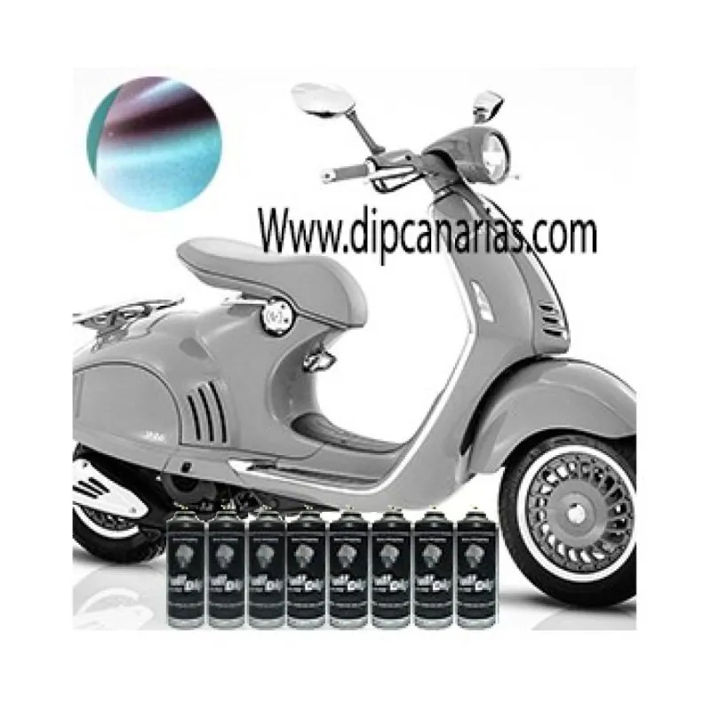 Kit Moto Mediana Absolute Camaleón